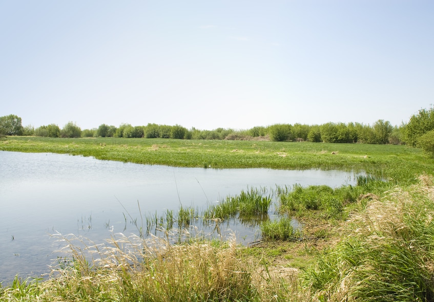 Flood Plain